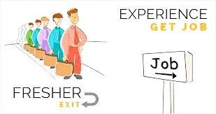Fresher vs Experience